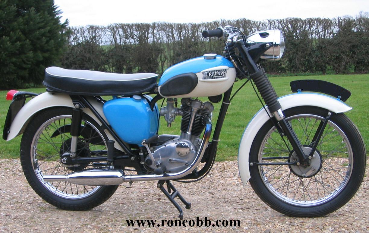 Tcub-4LOGO.JPG - 181752 Bytes