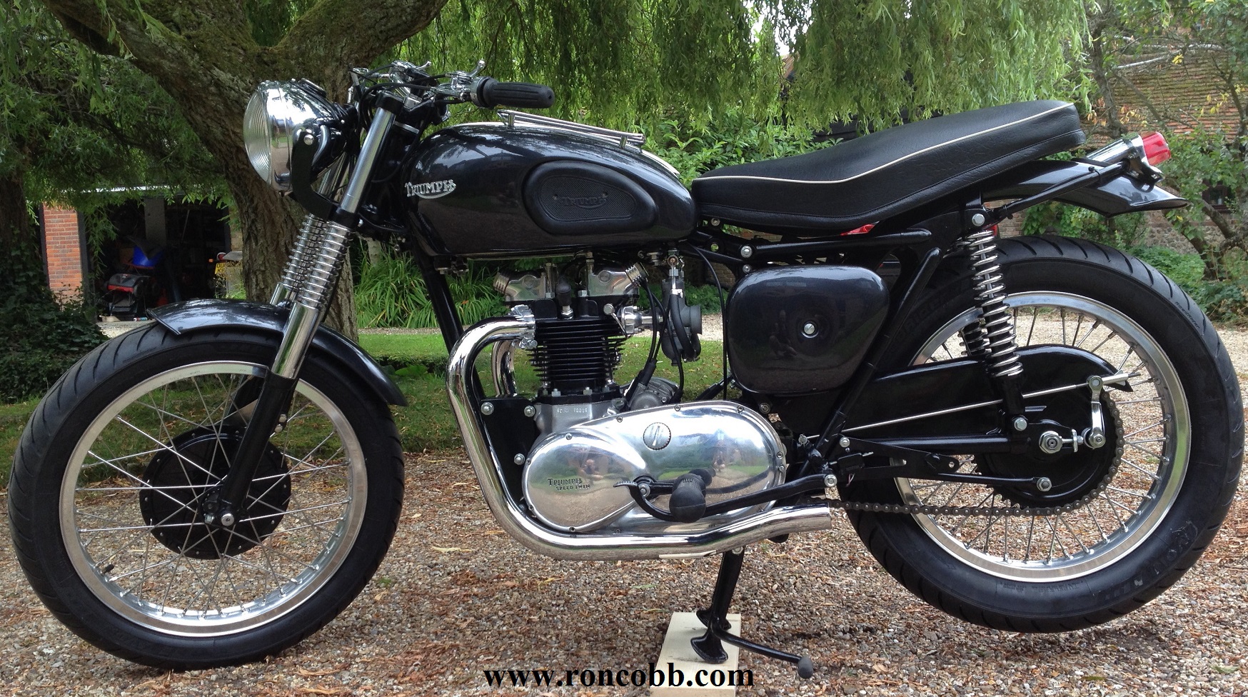 speedtwin2logo.JPG - 915653 Bytes