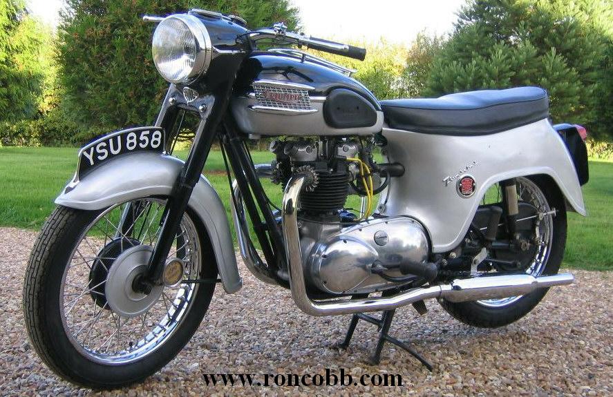 tritbird-2.JPG - 139072 Bytes